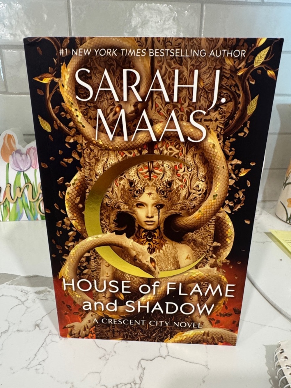 House of flame and shadow